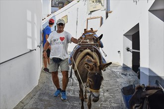 Man leading a loaded donkey through the narrow streets of a Greek village, Lindos, Rhodes,