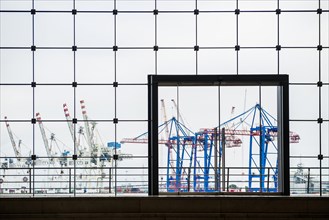 Window front and cargo cranes, Oat harbour, Hamburg, Germany, Europe