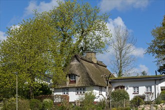 Thatched-roof house, Oat, Kappeln, Schlei, Schleswig-Holstein, Germany, Europe