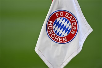 Corner flag, FC Bayern Munich logo, FCB, Allianz Arena, Munich, Bavaria, Germany, Europe
