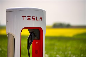 Tesla Supercharger in front of rapeseed field, logo, charging station for electric cars, charging