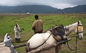 Conversation, horse cart rider, villager, rural, Tigray state, Ethiopia, Africa