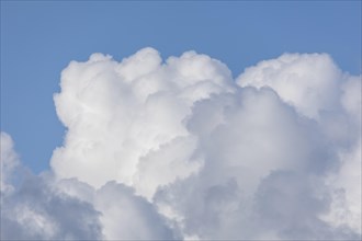 Clouds, Kappeln, Schlei, Schleswig-Holstein, Germany, Europe