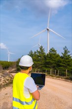 Vertical photo with copy space of the rear view of worker of a wind energy park using laptop