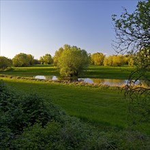 Nature reserve Uedesheimer Rheinaue in the evening light, Neuss, Lower Rhine, North