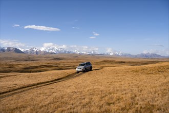Off-road vehicle Toyota Land Cruiser driving on a track through yellow grass, behind glaciated