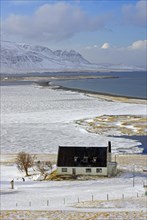 Abandoned house in front of a wide Beech, winter landscape, Skagafjoerour, Norourland vestra,