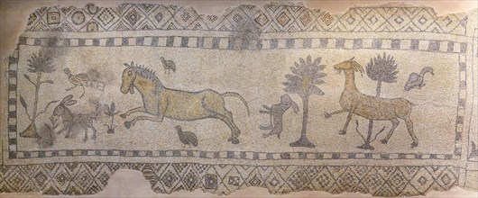Saridere mosaic, Zeugma mosaic Museum, Gaziantep, Turkey, Asia