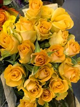 Colourful bouquet of roses in sales display with roses in colour yellow yellow-range, international