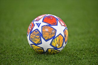Adidas match ball Champions League CL, lies on grass, Allianz Arena, Munich, Bayern, Germany,