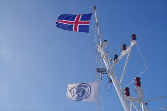 Iceland flag and Smyril Line flag waving in the wind, car ferry between Iceland and Denmark,