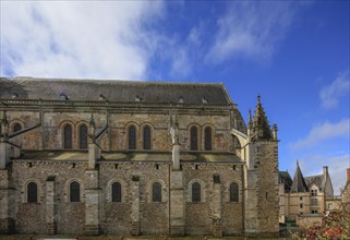 Romanesque nave, Romanesque-Gothic Saint-Julien du Mans Cathedral, Le Mans, Sarthe department, Pays