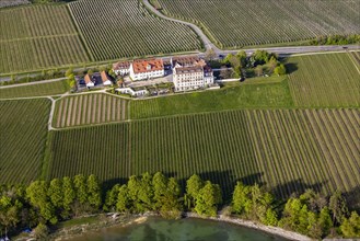 Kirchberg Castle with vineyards in spring, aerial view, Immenstaad on Lake Constance,