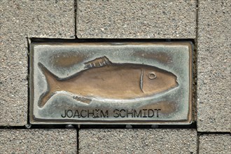Bronze Clupeidae, pavement, Joachim Schmidt, harbour, Kappeln, Schlei, Schleswig-Holstein, Germany,