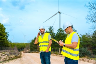 Two male colleagues engineers working in a green park next to wind turbines