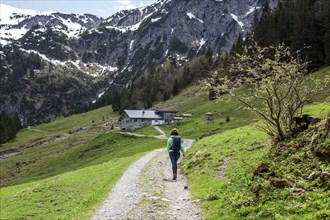 Hiking trail through green meadows, behind Hintere Gemstel-Huette, Mittelberg, Gemsteltal,