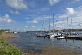 Marina, Oat, herring fishing, Kappeln, Schlei, Schleswig-Holstein, Germany, Europe