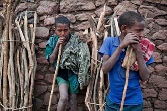 Two teenage boys, selling firewood, market, Lalibela, Ethiopia. Amhara ethnic group, poor, rural,