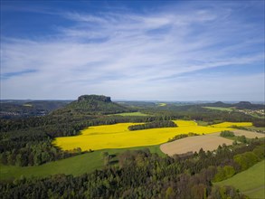 The symbolic mountain for Saxon Switzerland, the Lilenstein n blossoming rapeseed fields,