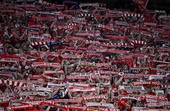 Spectators, fans, scarves, fan curve, fan block, Allianz Arena, Munich, Bavaria, Germany, Europe