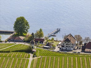 Historic Haltnau vineyard estate with jetty for boats, vineyard cottage in the vineyard, Meersburg,