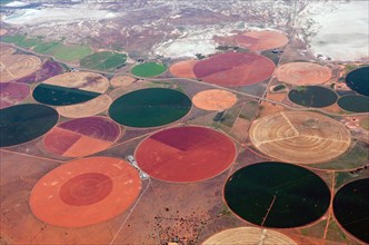 Aerial view, irrigation, agriculture field, field, desert, Karoo, South Africa, Africa