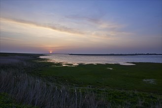 South reservoir at sunset in Ockholm, Nordfriesland district, Schleswig-Holstein, Germany, Europe