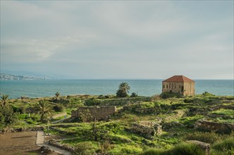 Old house of shellfish in Byblos, Lebanon, Asia
