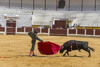 A torero in a fighting arena skilfully confronts an approaching bull, bullfight, bullfighting