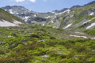 Hike along the Mur, Almrosen, Murursprung, Muhr, National Park Community, UNESCO Biosphere Reserve