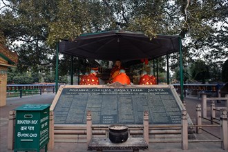 Sacred Bodhi tree campus, Buddhist pilgrimage site, Sarnath, India, Asia