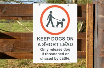 Keep Dogs on short lead, only release dog if threatened or chased by cattle, Suffolk Sandlings,