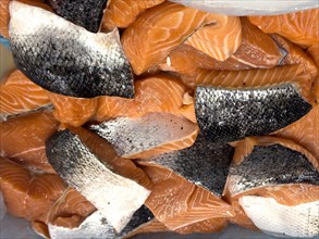 Display of fish caught Pacific salmon (Oncorhynchus) in the form of small pieces of salmon fillet