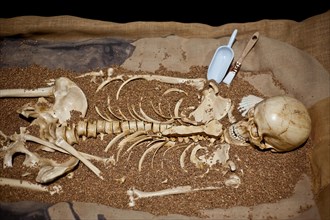 Mould, prehistoric human skeleton, France, Europe