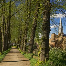 Tree-lined avenue with town wall and tower of the parish church of St Martinus in Zons, Dormagen,