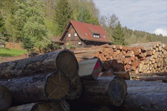 Sawmill in Rottal, Mainhardt Forest, Swabian-Franconian Forest Nature Park, Schwaebisch Hall,