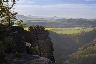 The Lilienstein is the most striking and best-known rock in the Elbe Sandstone Mountains.