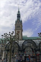 Hamburg Town Hall and Town Hall Market, Hamburg, Germany, Europe, Bare trees frame the view of the