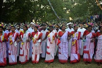 Dance performed by women, Bhumij tribe, local festival, West Bengal, India, Asia