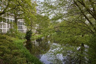 City moat in the Wallanlagen public park in Bremen, Hanseatic city, federal state of Bremen,