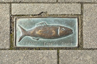 Bronze Clupeidae, pavement, Edgar and Gisela, harbour, Kappeln, Schlei, Schleswig-Holstein,