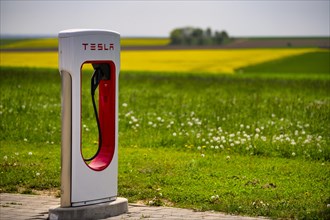 Tesla Supercharger in front of rapeseed field, logo, charging station for electric cars, charging