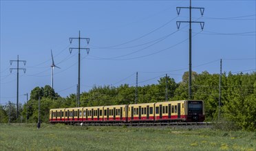 Suburban railway line in the landscape of Berlin Beech, Berlin, Germany, Europe