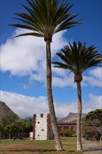 Two Palm trees in front of the Torre del Conde, Tower of the Count, medieval tower in the park,