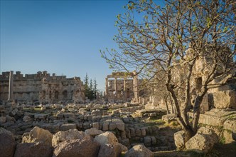 Ruins of Baalbek. Ancient city of Phenicia located in the Beca valley in Lebanon. Acropolis with