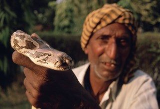 Snake charmer, low caste, senior, man, snake, deformity, India, Asia