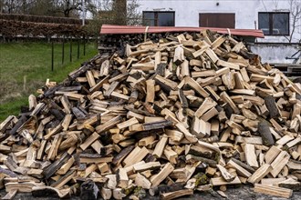 Pile of firewood in the front garden, Ruegen, Mecklenburg Vopommern, Germany, Europe