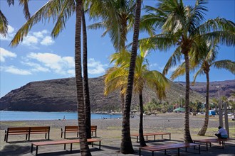 Palm trees on the beach of San Sebastian de La Gomera, La Gomera, Canary Islands, Spain, Europe