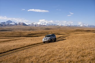 Off-road vehicle Toyota Land Cruiser driving on a track through yellow grass, behind glaciated