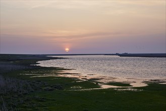 South reservoir at sunset in Ockholm, Nordfriesland district, Schleswig-Holstein, Germany, Europe